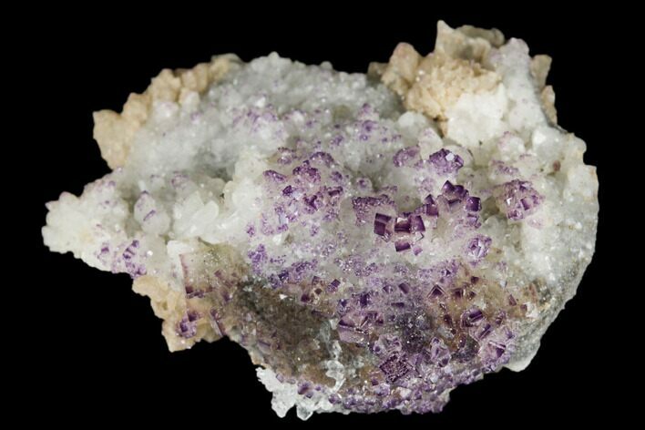 Calcite Crystal Cluster with Purple Fluorite (New Find) - China #177566